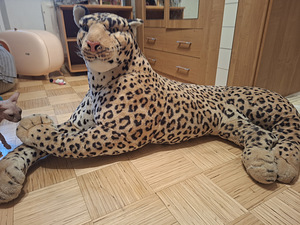 Leopardimänguasi (1 foto / 6)
