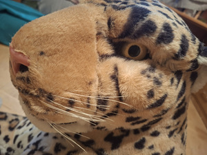 Leopardimänguasi (5 foto / 6)