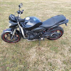 Honda hornet (4 foto / 6)