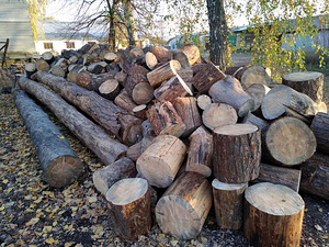 Annan ära puu, mänd ja pappel küttepuudeks