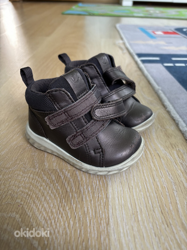 Ecco botased s20
