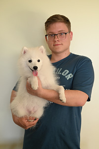 Jaapani spitsi kutsikad (9 foto / 10)