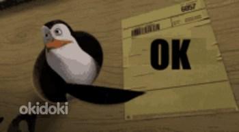 Otsin tööd