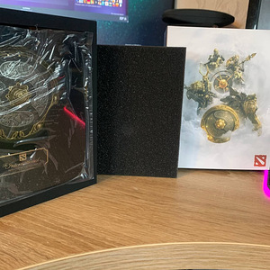 DOTA 2 AEGIS The international 2020 Medallion Collectible (2 foto / 2)