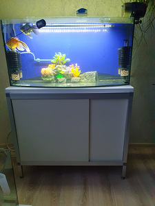 100л аквариум,действующий,полный комплект (3 фото из 4)