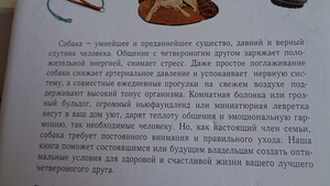Собака ваш лучший друг,ЭКСМО,Москва 2006 г. (5 фото из 9)