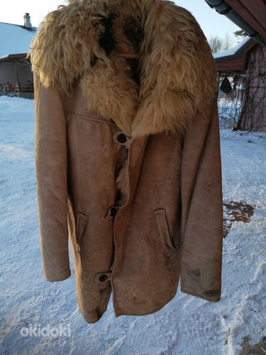 Одежда