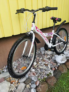 Noorte jalgratas 24 (3 foto / 4)