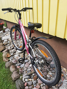 Noorte jalgratas 24" (3 foto / 5)
