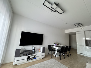 Tasandi tn 8, Haabersti, Tallinn, Harjumaa (9 foto / 38)