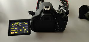 Canon 600D + Canon lens 18-55mm (2 foto / 4)