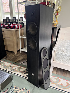 DLS R66 Hifi põrandakõlarid (1 foto / 4)