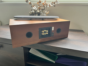 DLS R66 Hifi põrandakõlarid (3 foto / 4)