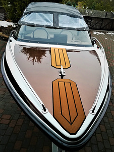 Terhi BigFun1600S Evinrude E-tech 60hp (2 foto / 9)