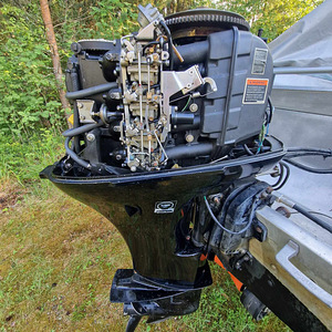 Mercury 50 HP (2 foto / 3)