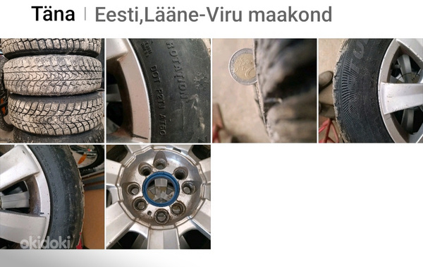 Шипованные шины Minerva Ecostud