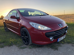 CABRIO PEUGEOT 307 (10 foto / 15)