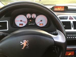 CABRIO PEUGEOT 307 (15 foto / 15)