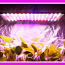 Üliõhuke taimede LED-lamp, fütolamp (foto #1)