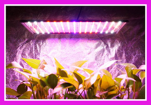 Üliõhuke taimede LED-lamp, fütolamp (4 värvi)