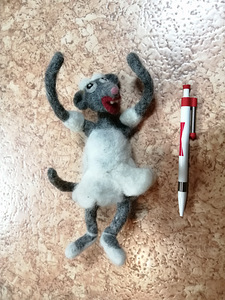 Väga meeldiv vilditud rott (1 foto / 2)