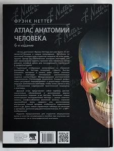 Frank Netteri inimese anatoomia atlas (2 foto / 10)