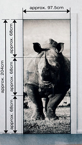 Fototapeet uksele "Nosorog"