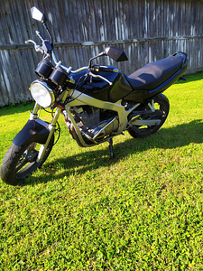 Suzuki gs500 (5 фото из 6)