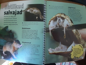 Raamat kummalised loomad (2 foto / 3)