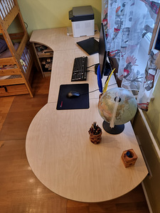Standard Antri suur kirjutuslaud (2 foto / 5)