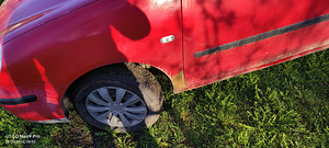 VW POLO 9N 2002 (4 фото из 9)