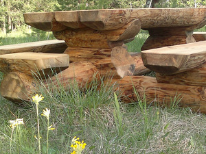 Aiamööbel palkidest (2 foto / 7)