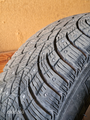 Triangle IcelynX TI501, 225/50R17 98 T XL RP studded