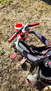 Lasteratas, lükatav Smart Trike 4in1 (4 foto / 8)