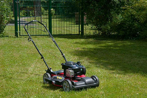 Aeraator muruõhutaja samblaeemaldaja Makita trimmer niiduk (3 foto / 7)