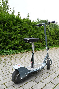 Elektriline tõukeratas Razor E300 (3 foto / 7)