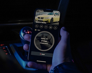 Professionaalne skanner auto diagnostikaks OBDelevenPRO (9 foto / 10)