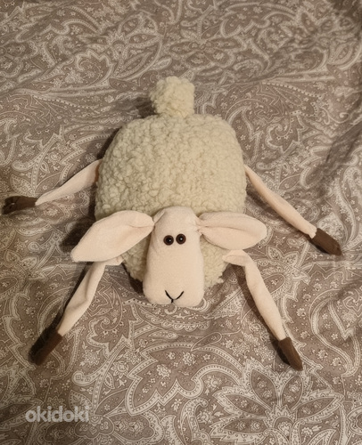 Овцы (фото #6)