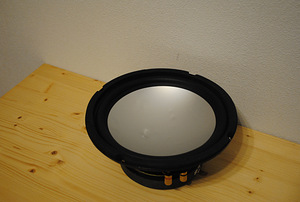 Conrad DS100i 10" subwoofer