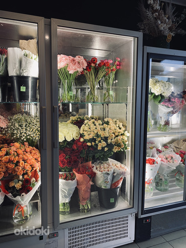 Lillekülmik/ Холодильник для цветов (фото #1)