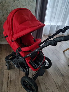 Vanker/käru silmatorkavalt ilus isend (3 foto / 3)