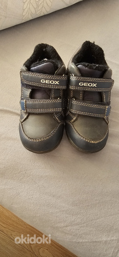 Ботинки geox в/о 24р (фото #1)