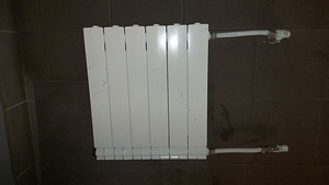 Alumiiniumradiaatorid Calidor (1 foto / 3)
