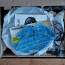 UUS märg-kuivpuhastuse robottolmuineja Rovus (foto #2)