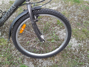 Meeste jalgratas CLASSIC MAXX (7 foto / 9)