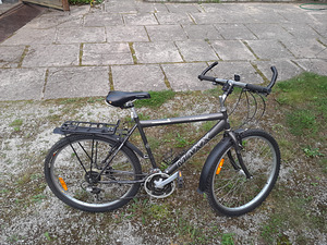 Meeste jalgratas CLASSIC MAXX (2 foto / 9)