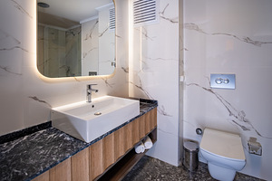 THE SAINT STAR HOTELS & SPA (16 foto / 20)