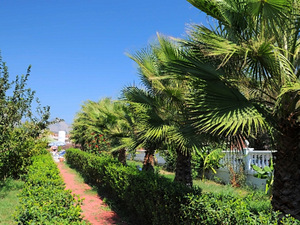 ADALIN RESORT HOTEL ADULT ONLY (12+) (6 foto / 10)