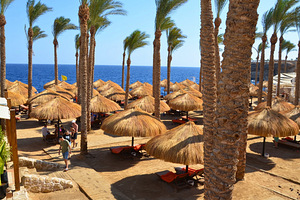 THE GRAND HOTEL SHARM EL SHEIKH (8 foto / 10)