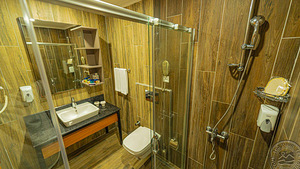 VIKING GARDEN HOTEL & SPA (8 foto / 10)